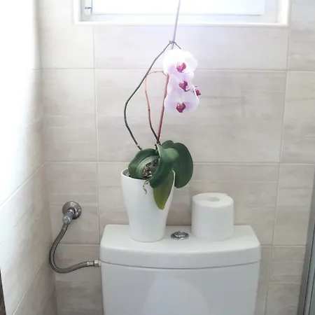 Apartman Ela